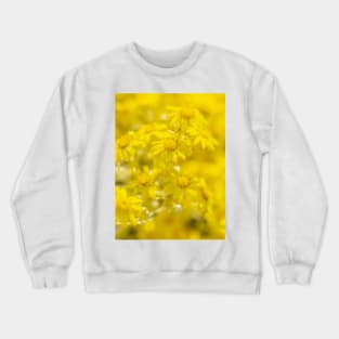 Soft Yellow Flora Crewneck Sweatshirt